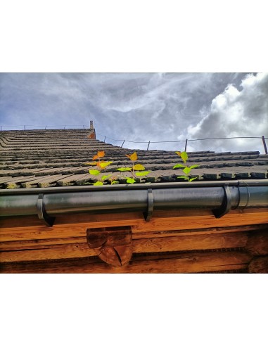 Ochranná mriežka proti padaniu lístia