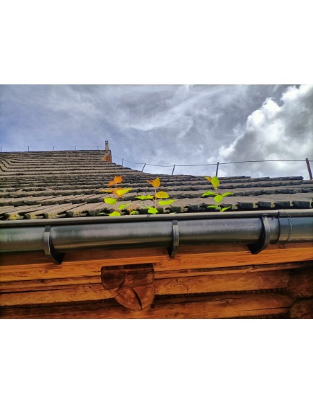 Ochranná mriežka proti padaniu lístia