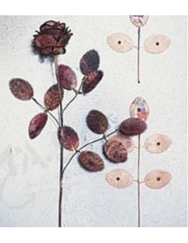 Šablony na vytepání růže