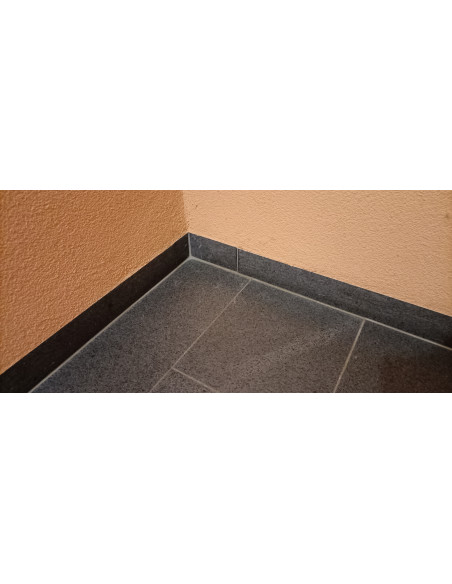 Įsišaknijęs pagrindas kalkės-cementinėje tinkoje